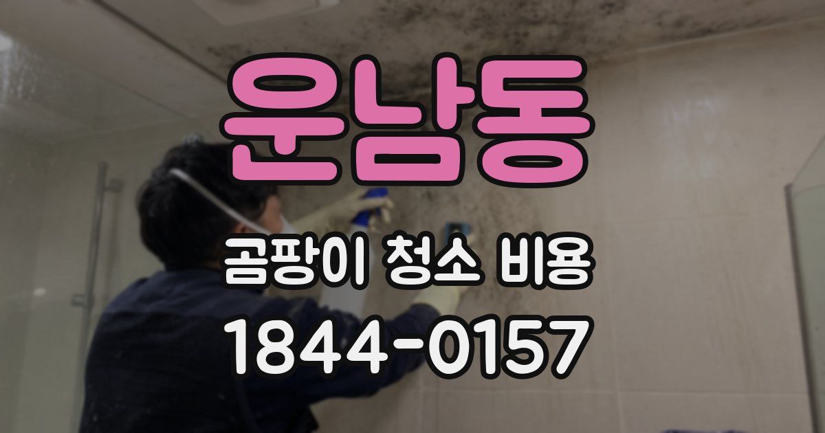 운남동 곰팡이 청소 비용