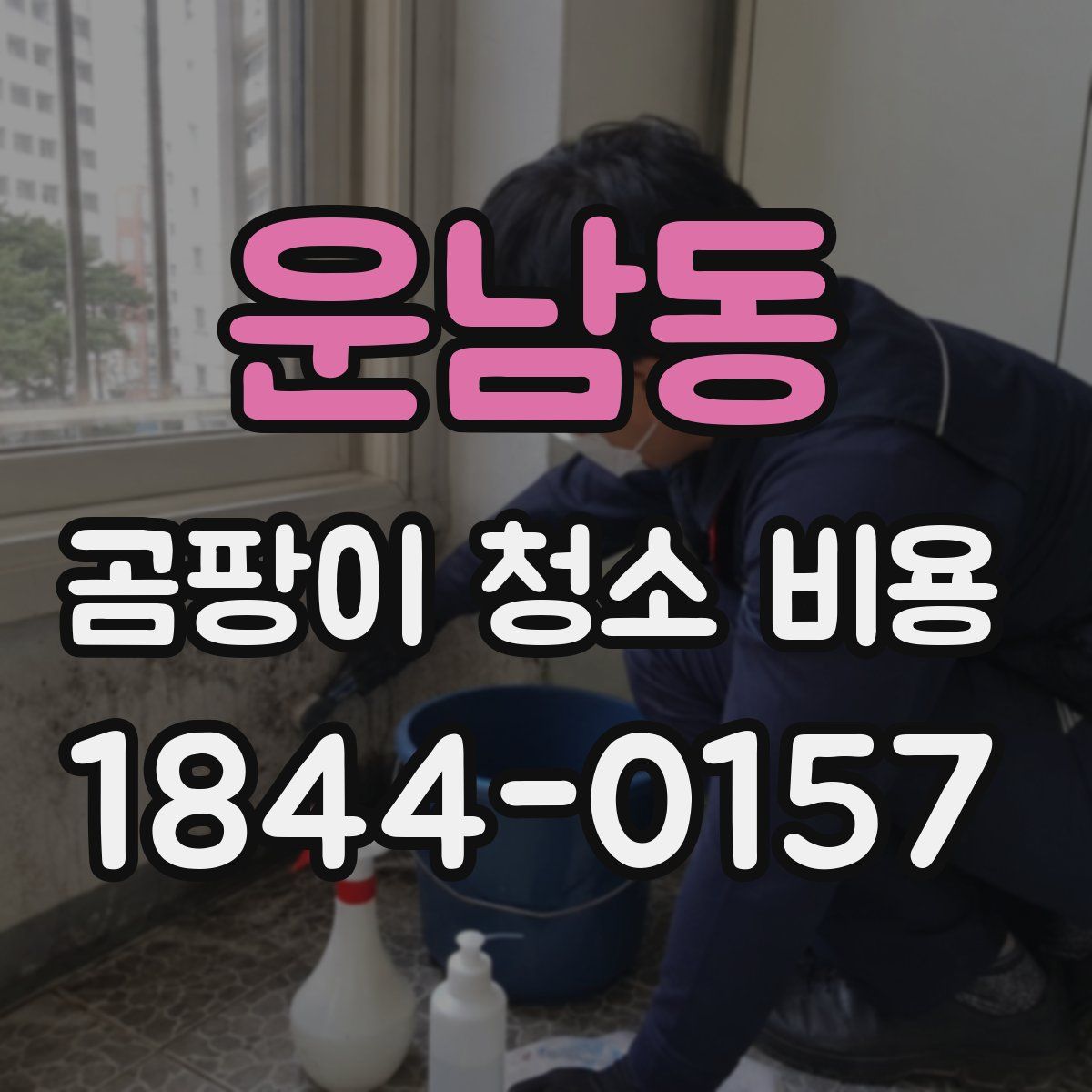 운남동 곰팡이 청소 비용