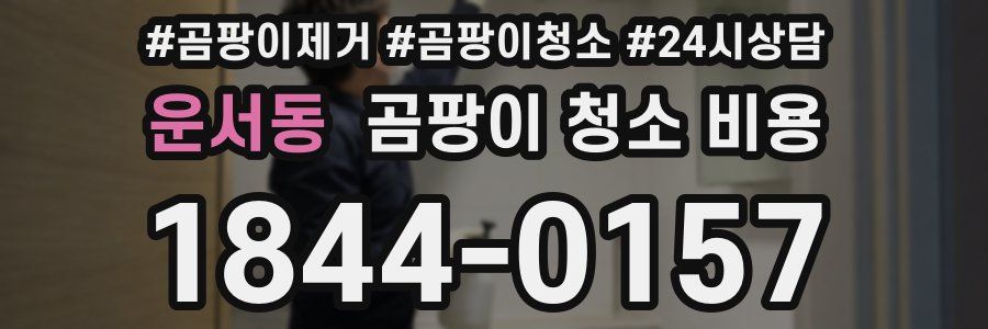 운서동 곰팡이 청소 비용