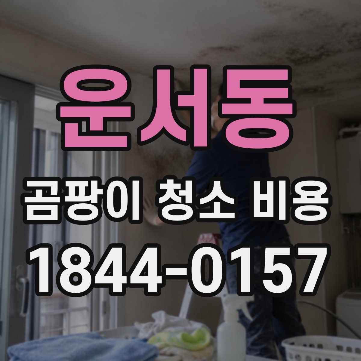 운서동 곰팡이 청소 비용