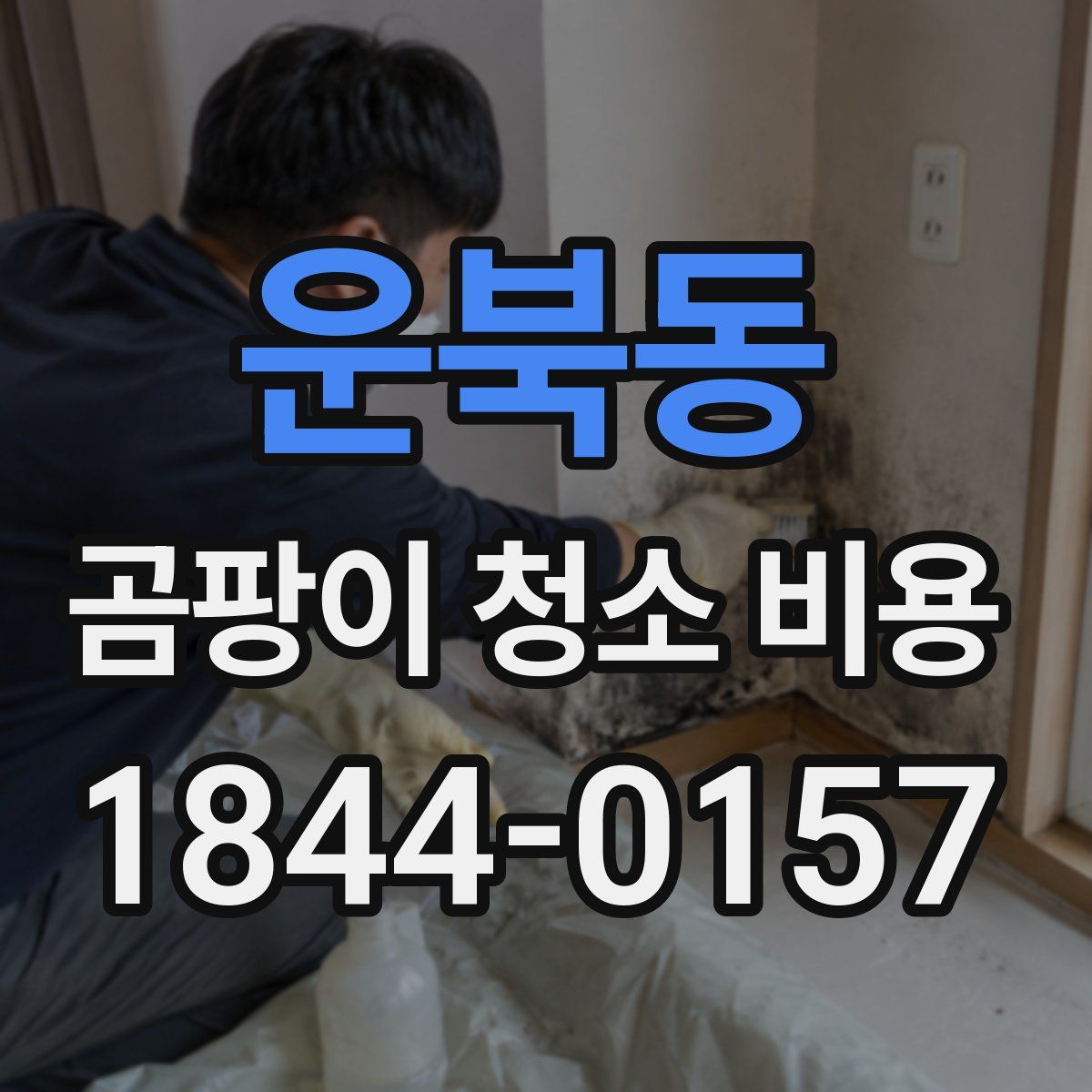 운북동 곰팡이 청소 비용