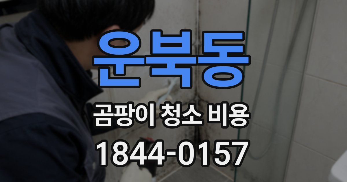 운북동 곰팡이 청소 비용