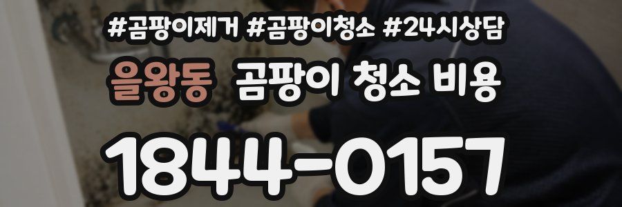 을왕동 곰팡이 청소 비용