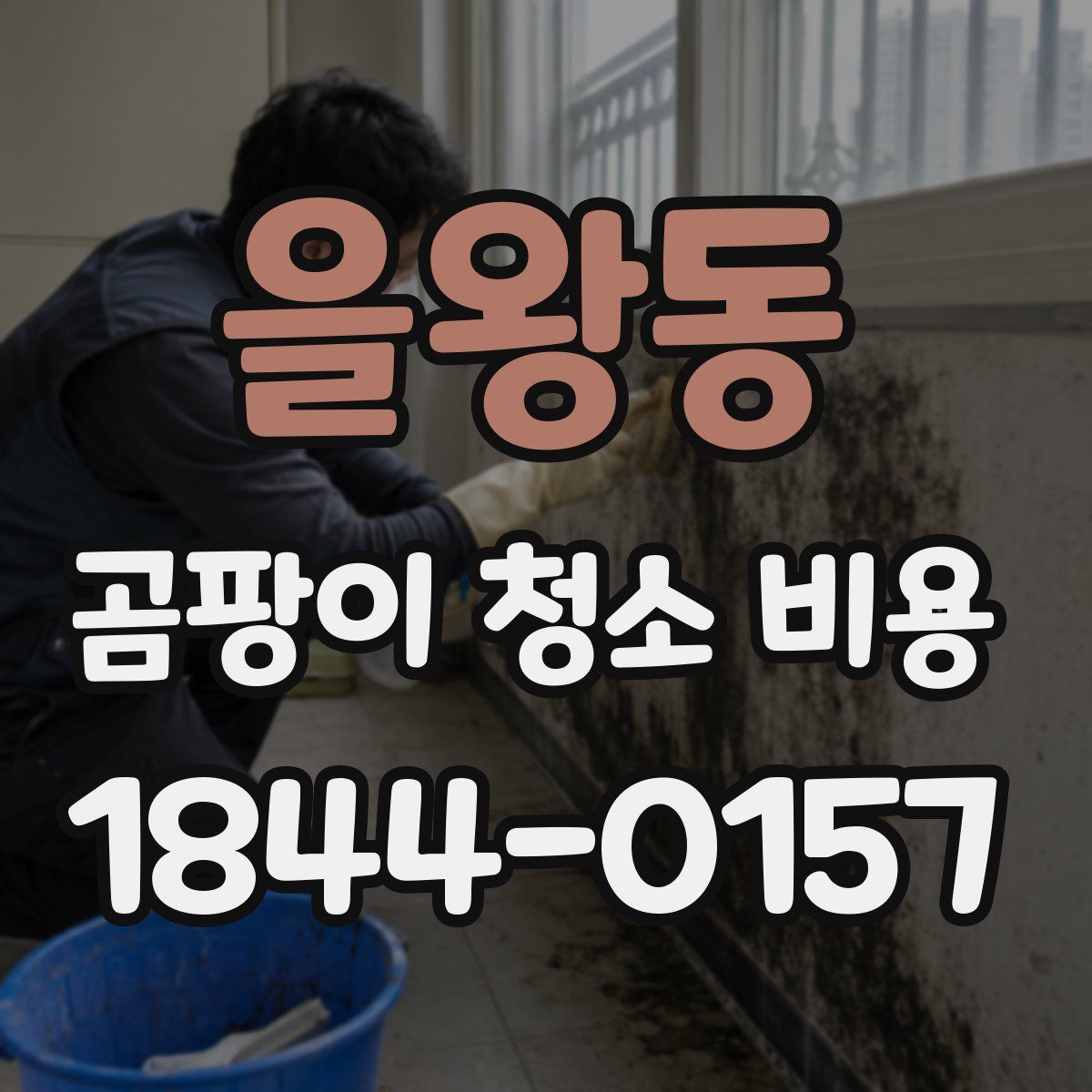 을왕동 곰팡이 청소 비용