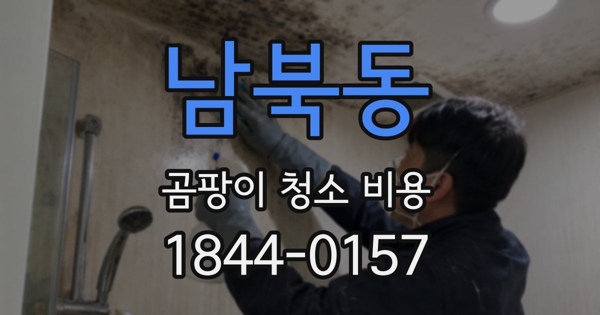 남북동 곰팡이 청소 비용
