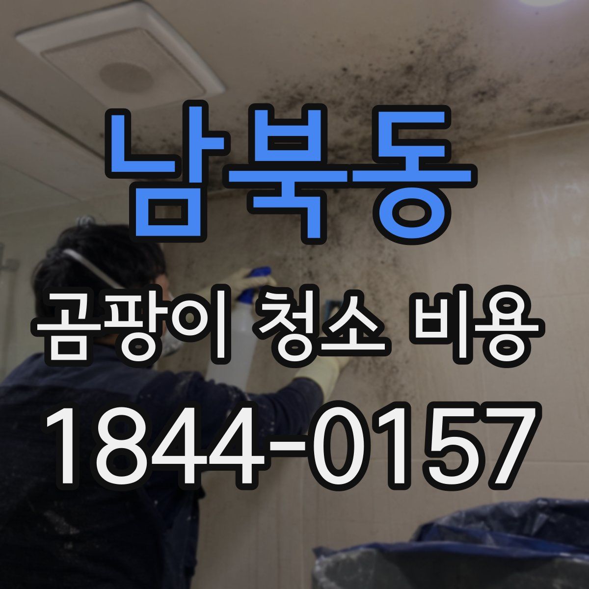 남북동 곰팡이 청소 비용