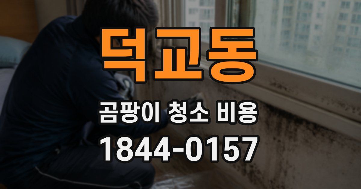 덕교동 곰팡이 청소 비용