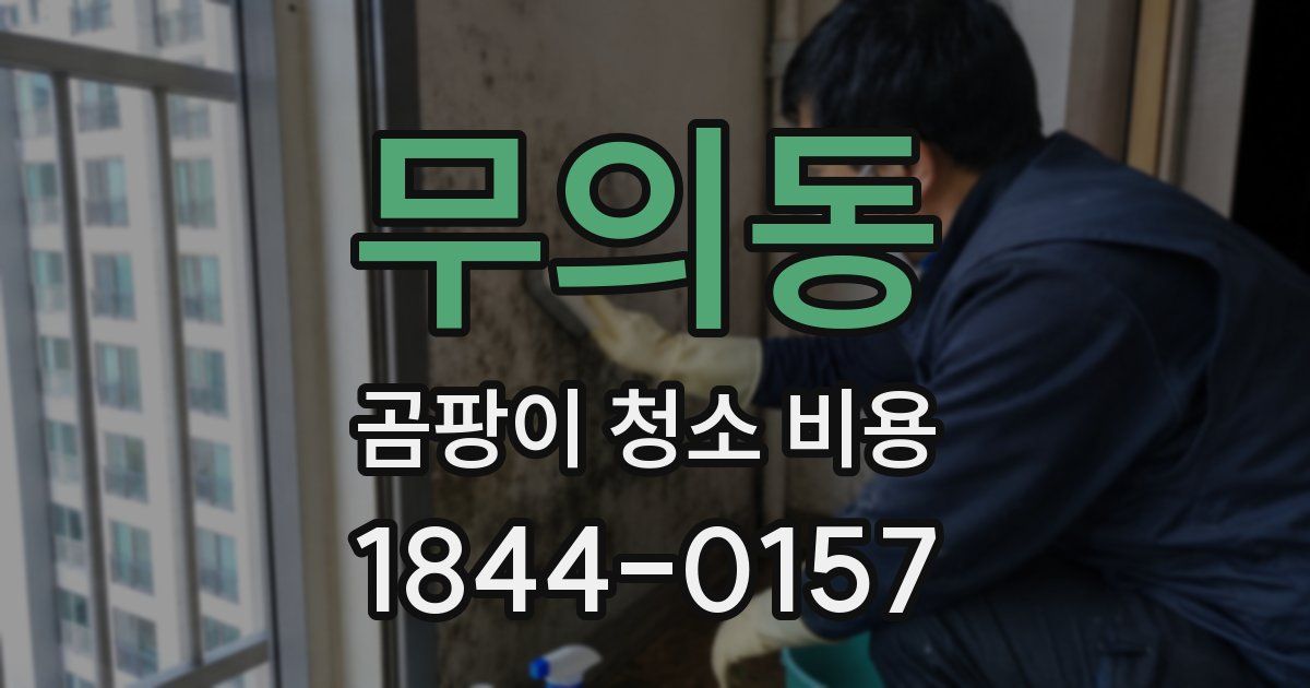 무의동 곰팡이 청소 비용