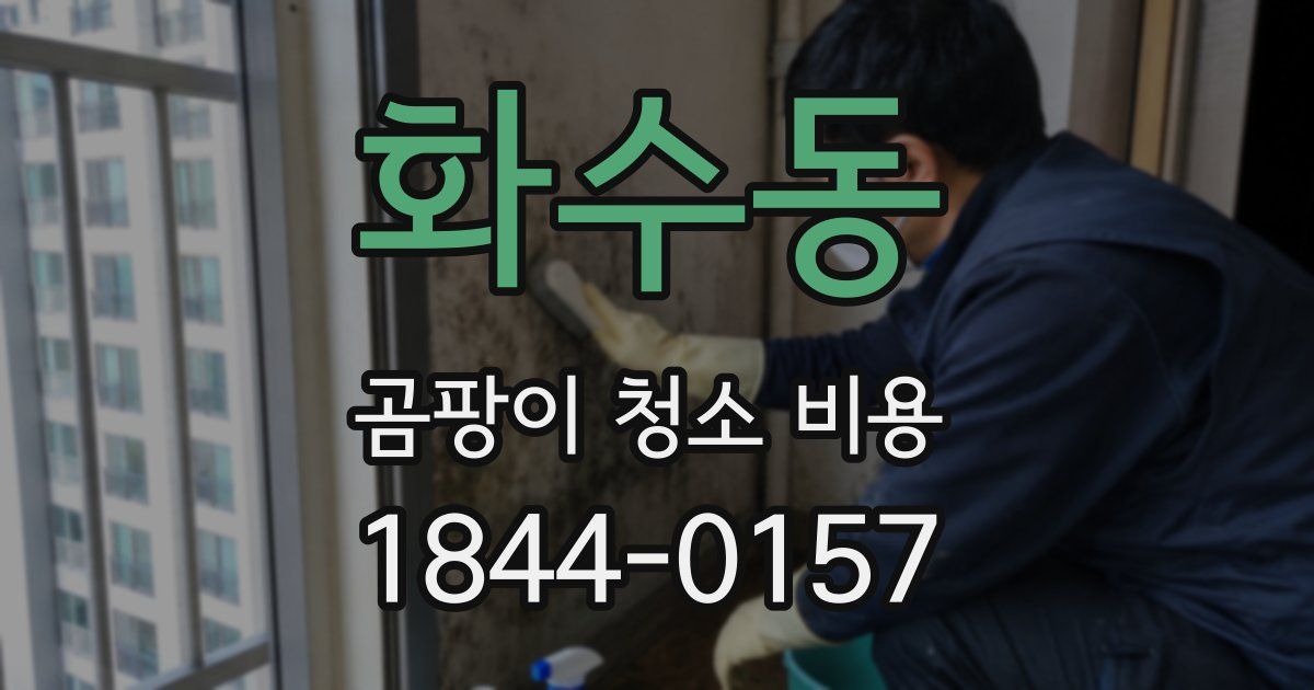 화수동 곰팡이 청소 비용