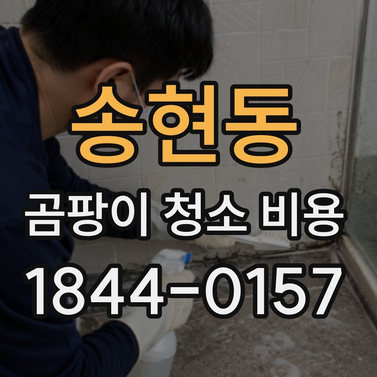 송현동 곰팡이 청소 비용