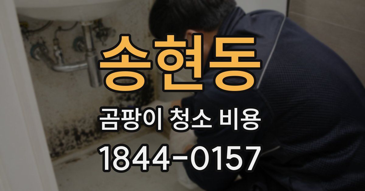 송현동 곰팡이 청소 비용