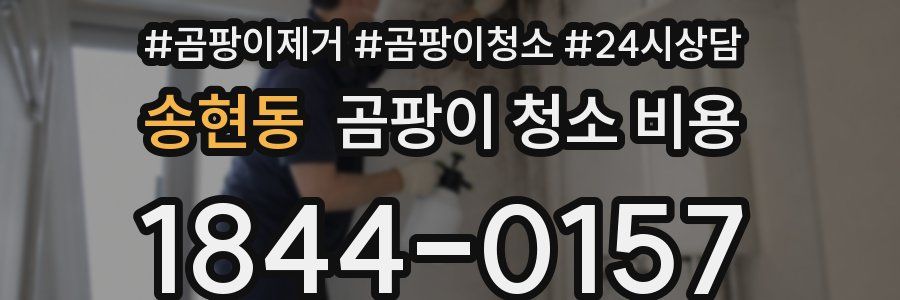 송현동 곰팡이 청소 비용