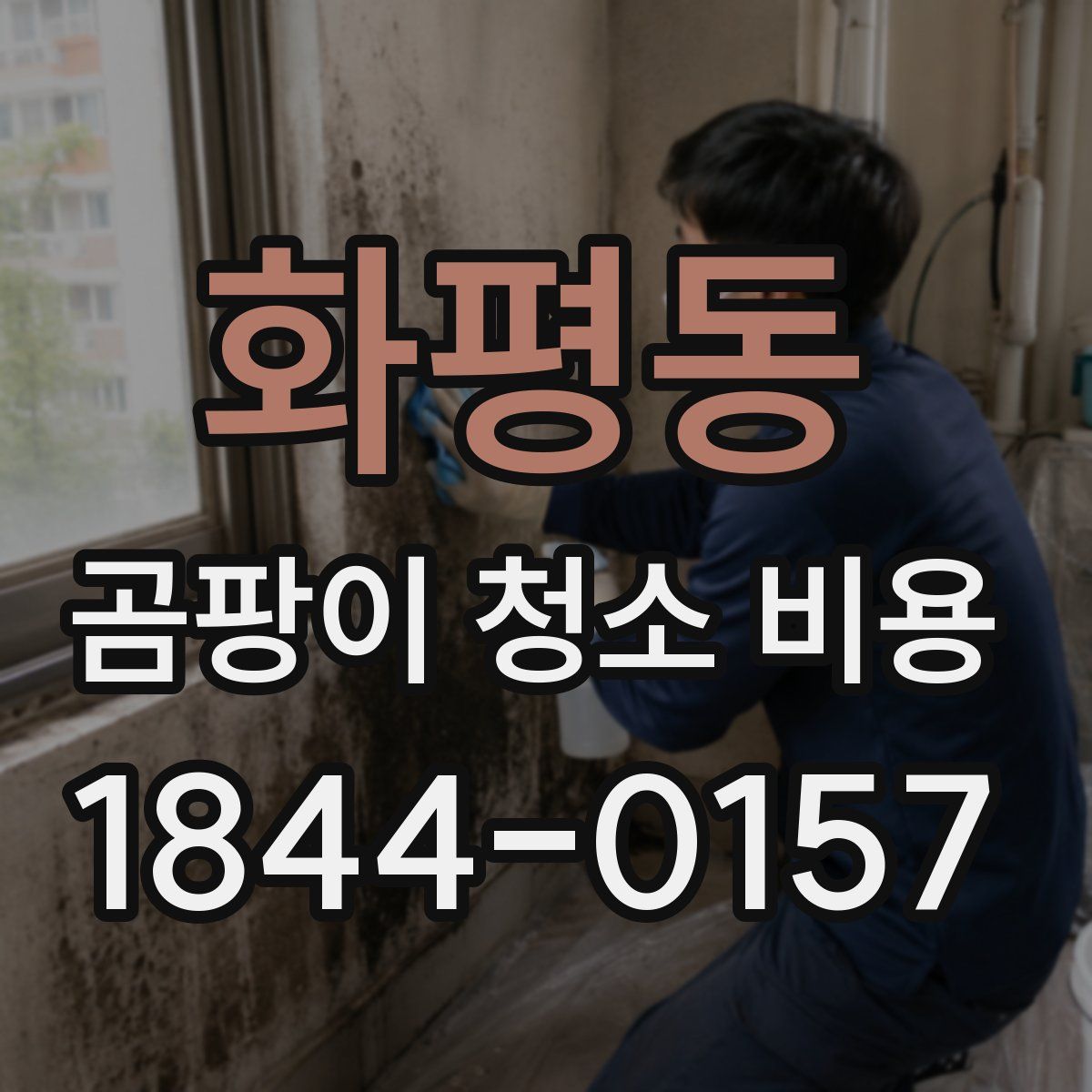 화평동 곰팡이 청소 비용