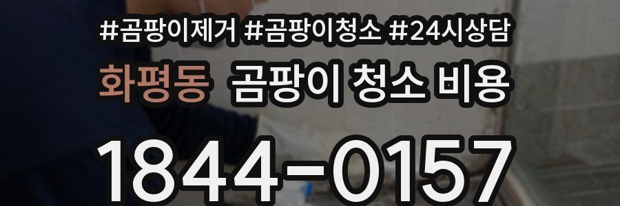화평동 곰팡이 청소 비용