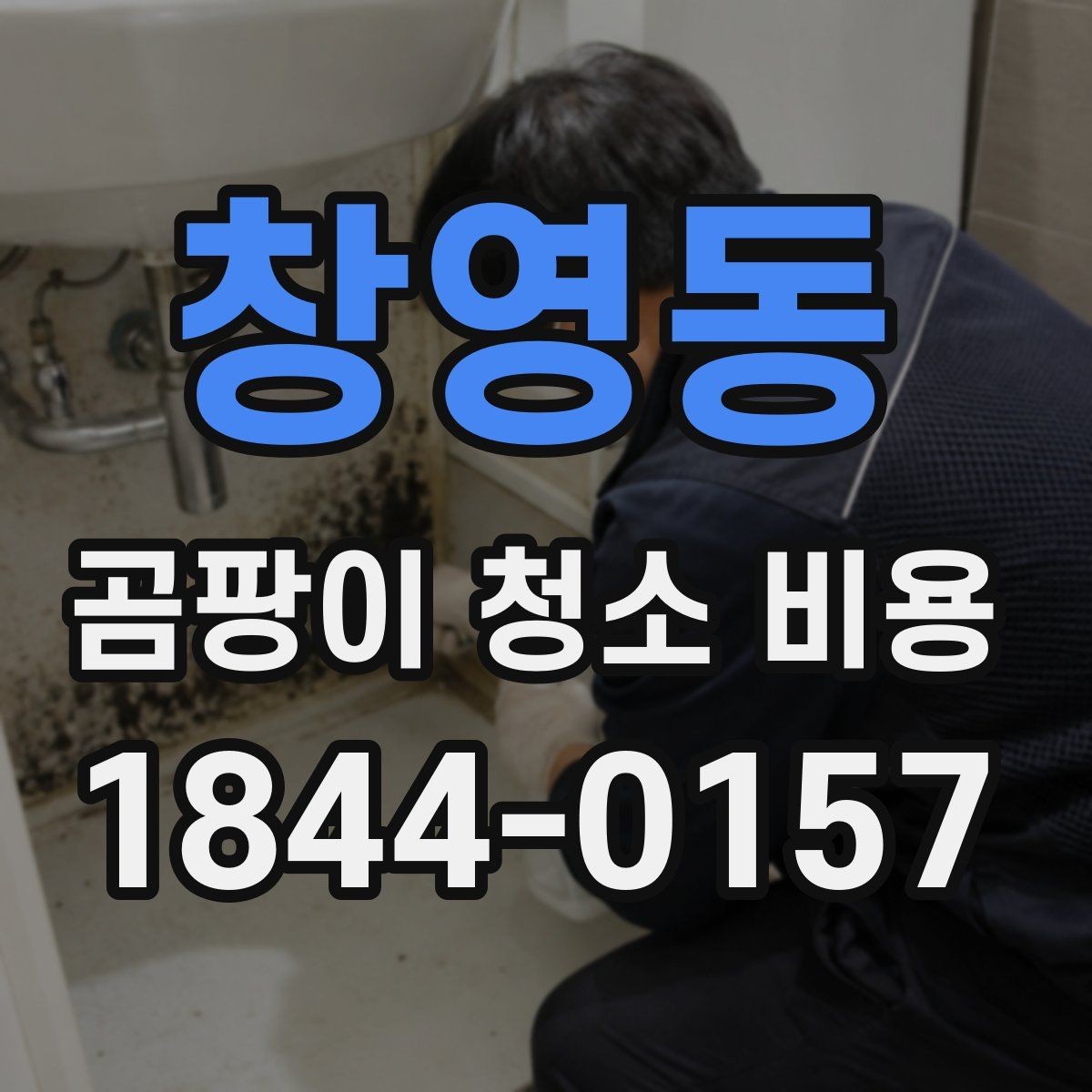 창영동 곰팡이 청소 비용 단순 제거와 방지 처리의 차이