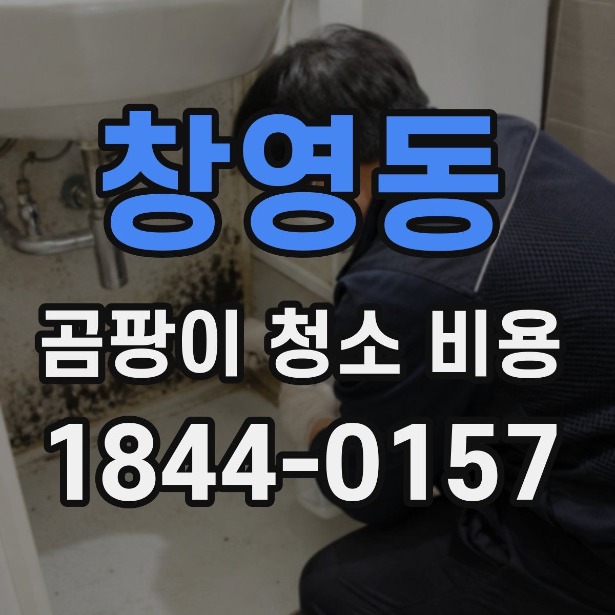 창영동 곰팡이 청소 비용