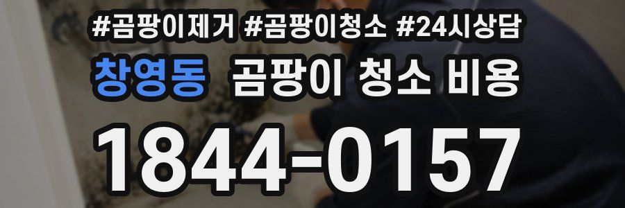 창영동 곰팡이 청소 비용