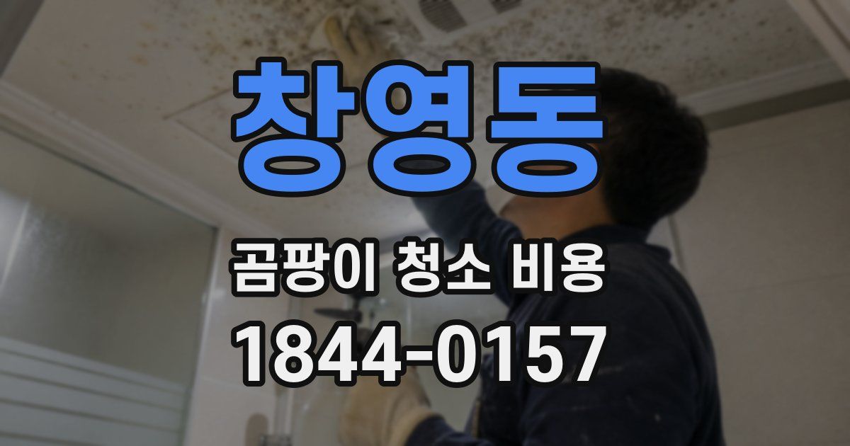 창영동 곰팡이 청소 비용