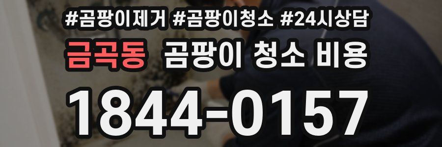 금곡동 곰팡이 청소 비용