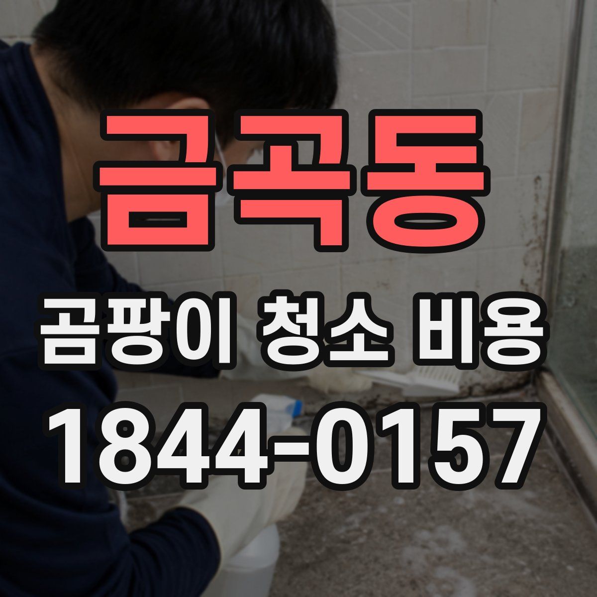 금곡동 곰팡이 청소 비용