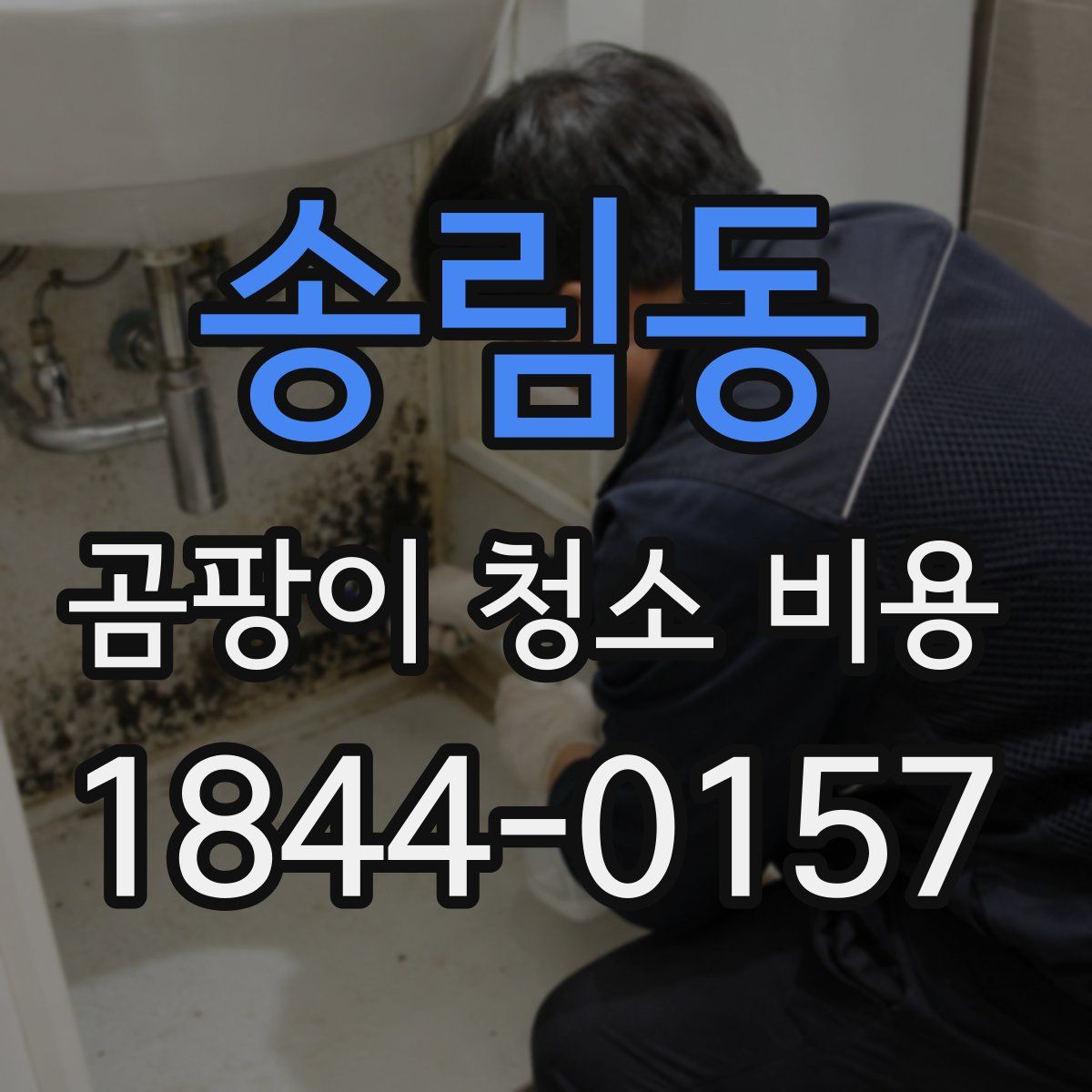송림동 곰팡이 청소 비용