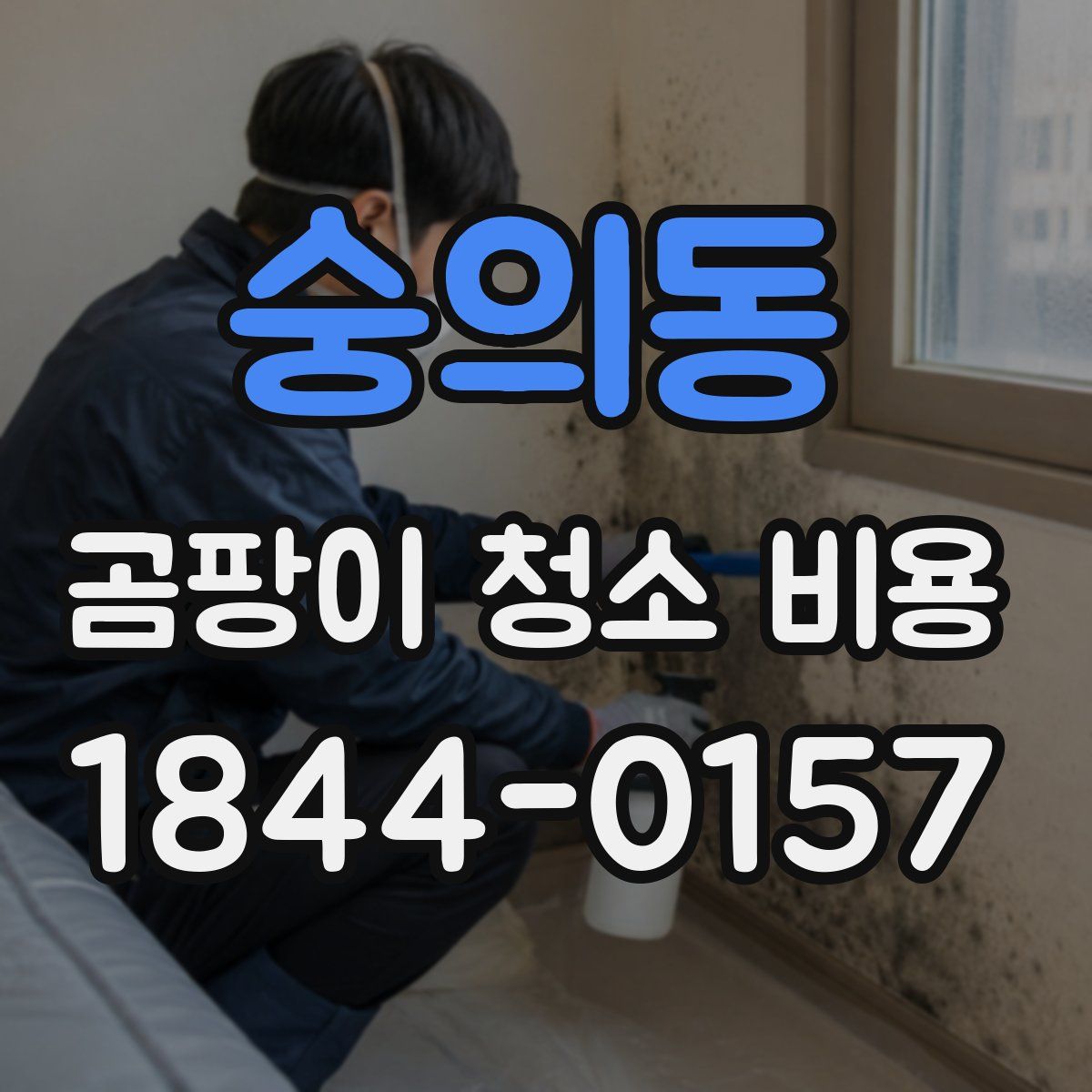 숭의동 곰팡이 청소 비용
