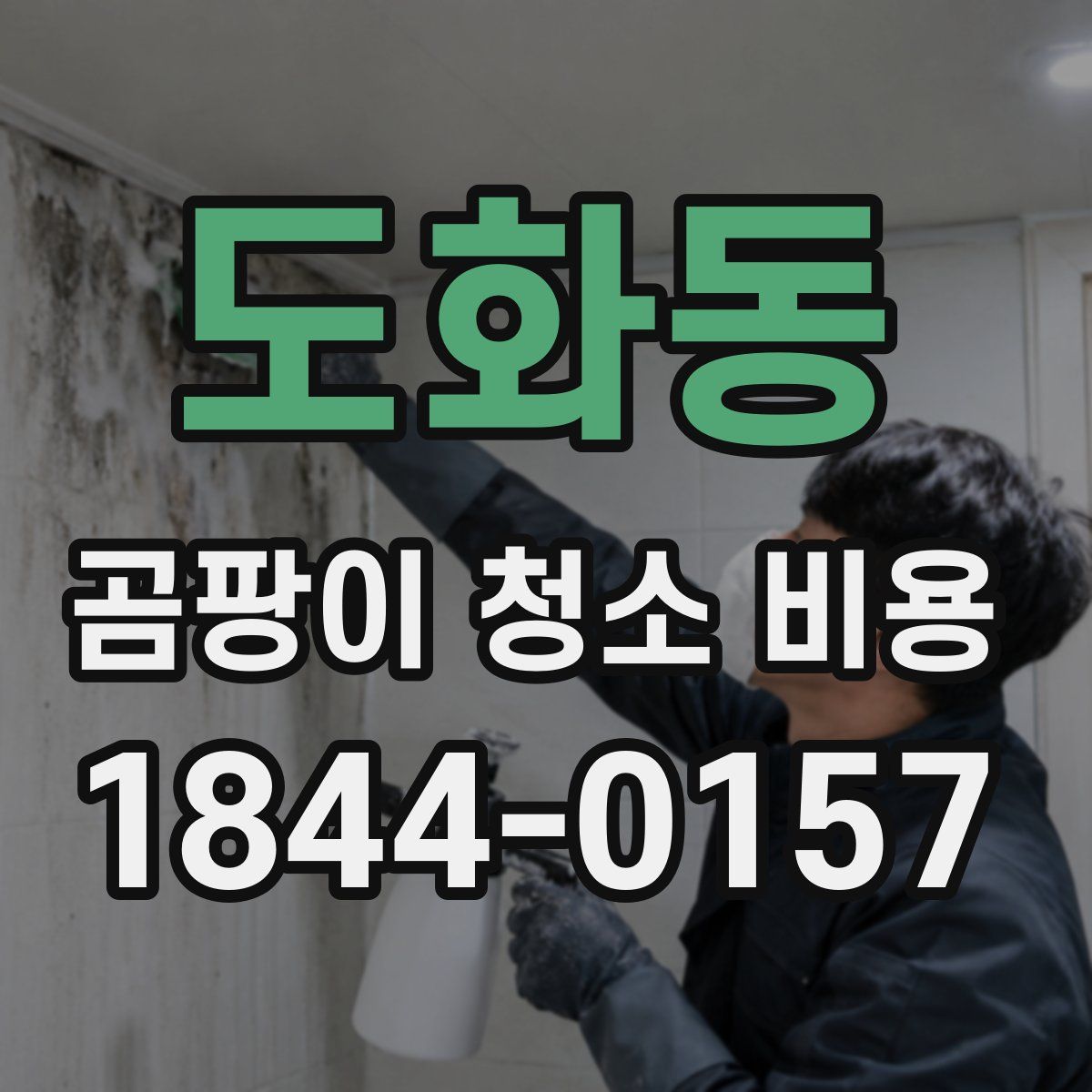 도화동 곰팡이 청소 비용