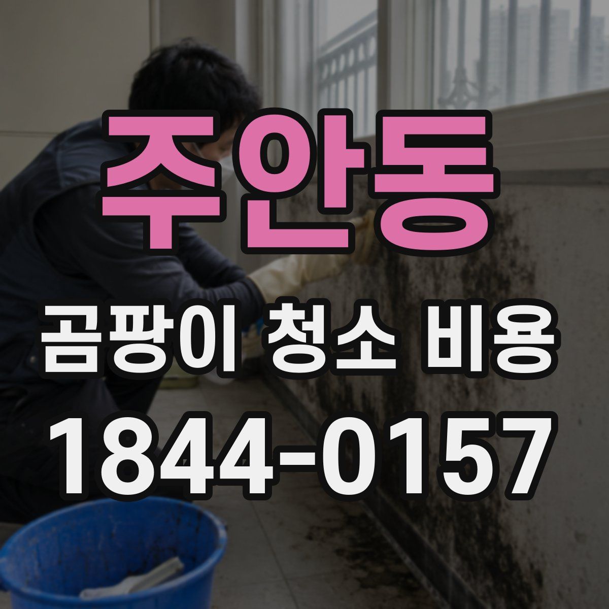 주안동 곰팡이 청소 비용