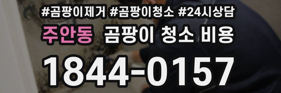 주안동 곰팡이 청소 비용