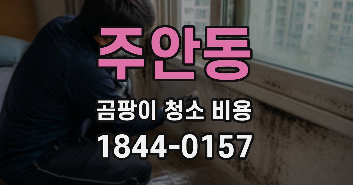 주안동 곰팡이 청소 비용