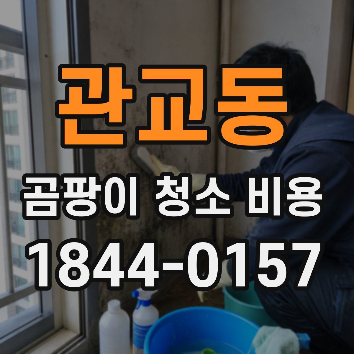 관교동 곰팡이 청소 비용