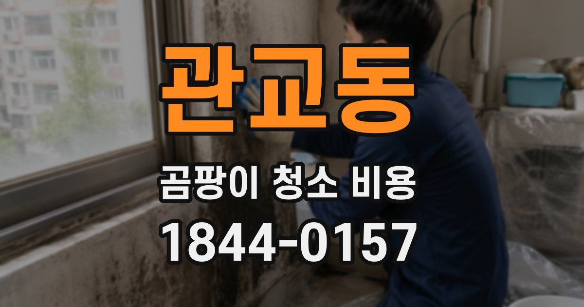 관교동 곰팡이 청소 비용