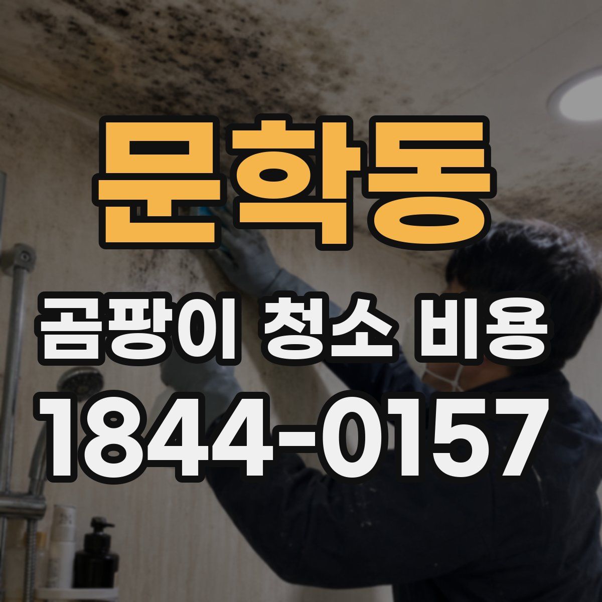 문학동 곰팡이 청소 비용