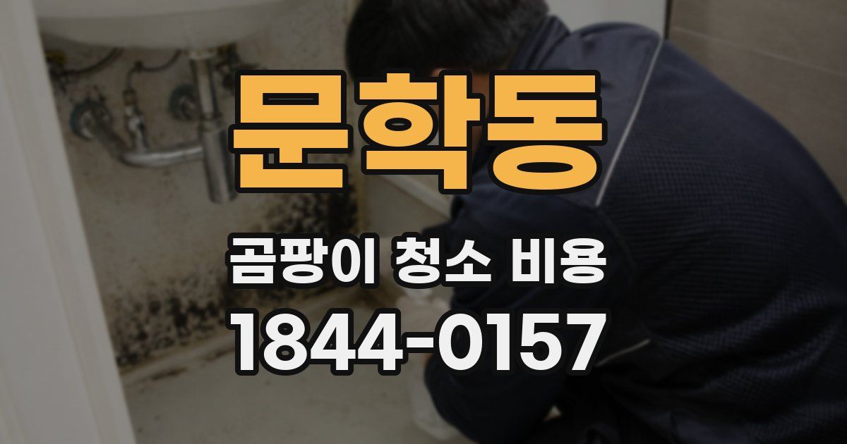 문학동 곰팡이 청소 비용
