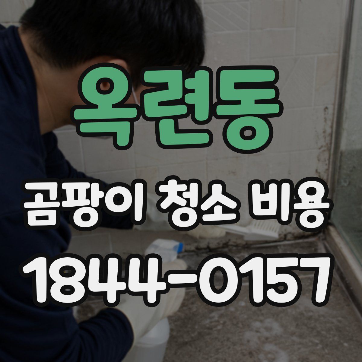 옥련동 곰팡이 청소 비용