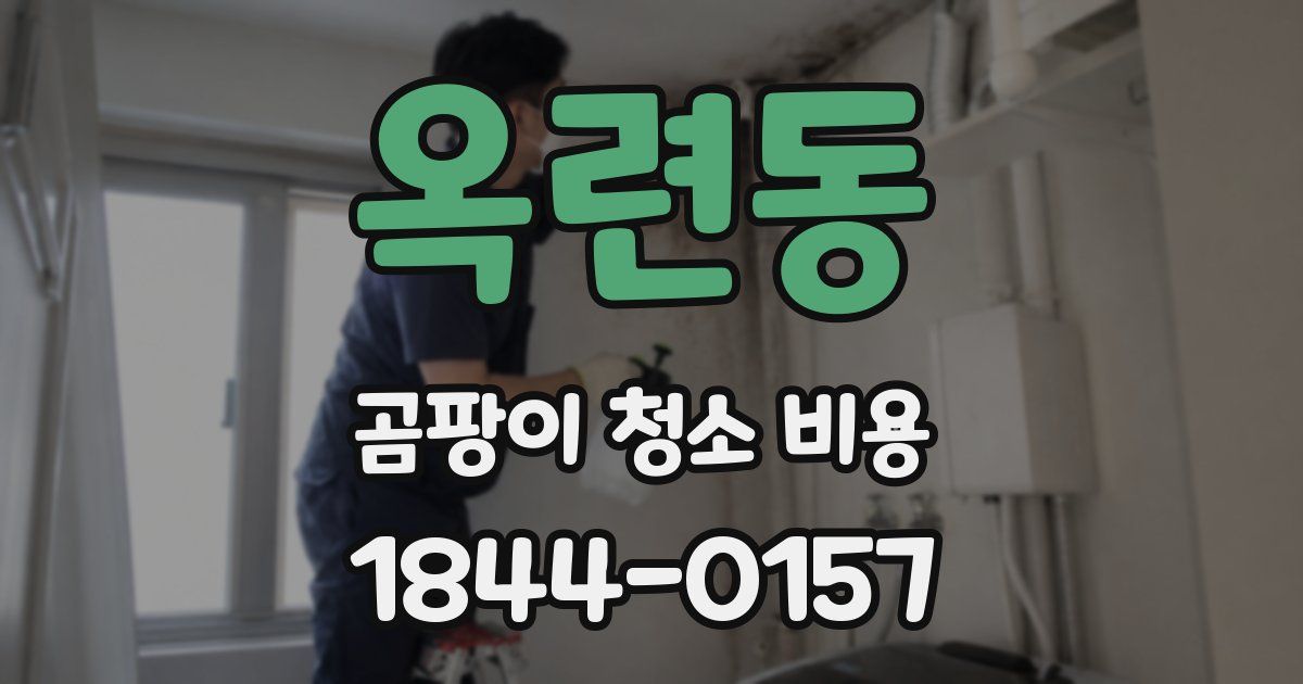 옥련동 곰팡이 청소 비용
