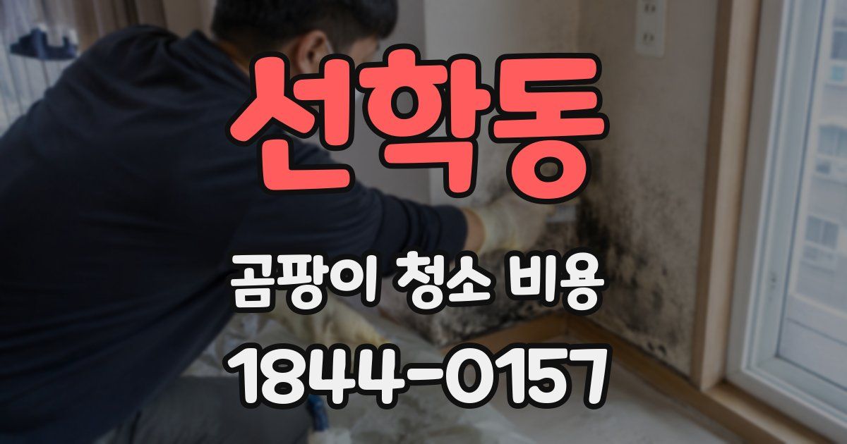 선학동 곰팡이 청소 비용