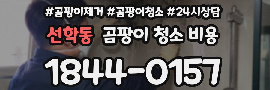 선학동 곰팡이 청소 비용