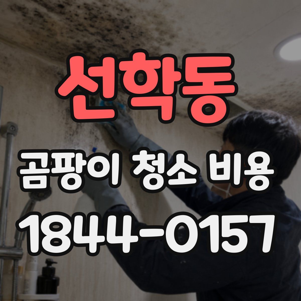 선학동 곰팡이 청소 비용