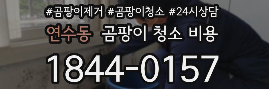 연수동 곰팡이 청소 비용