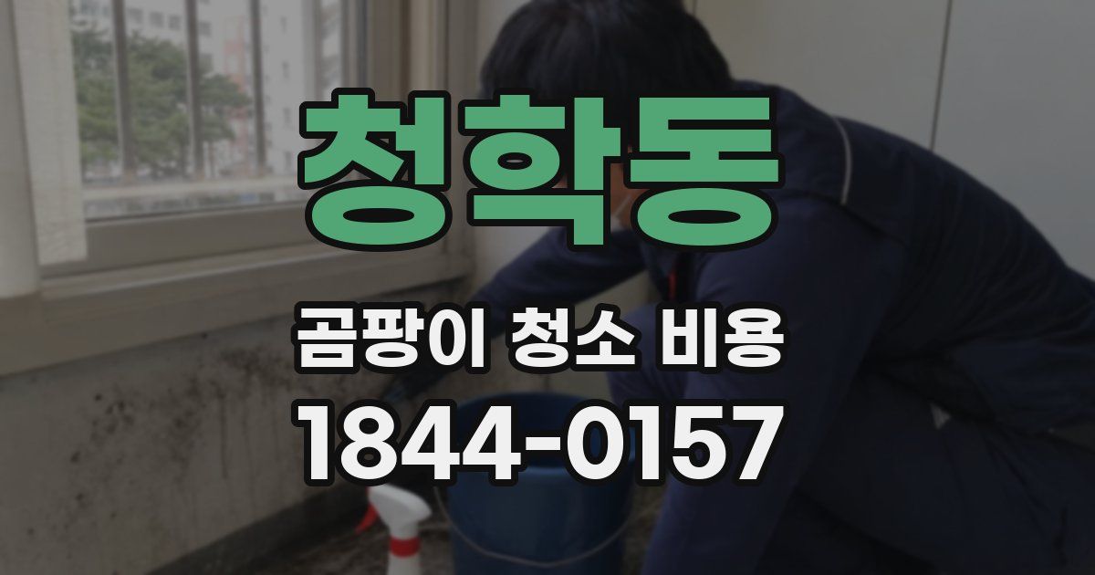 청학동 곰팡이 청소 비용