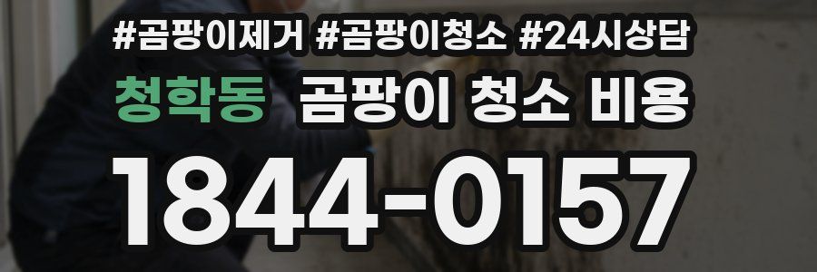 청학동 곰팡이 청소 비용