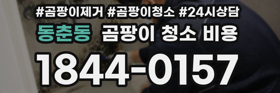 동춘동 곰팡이 청소 비용