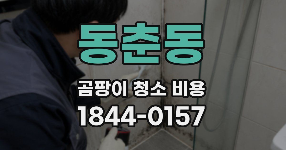 동춘동 곰팡이 청소 비용