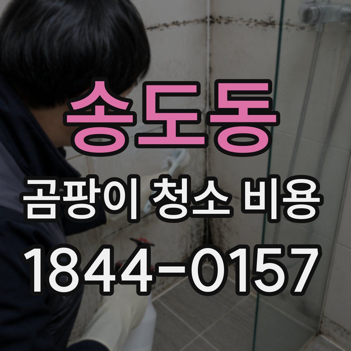 송도동 곰팡이 청소 비용