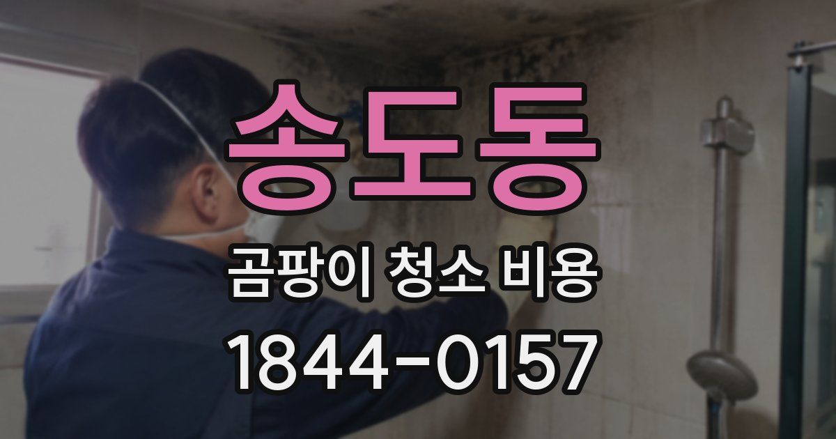 송도동 곰팡이 청소 비용