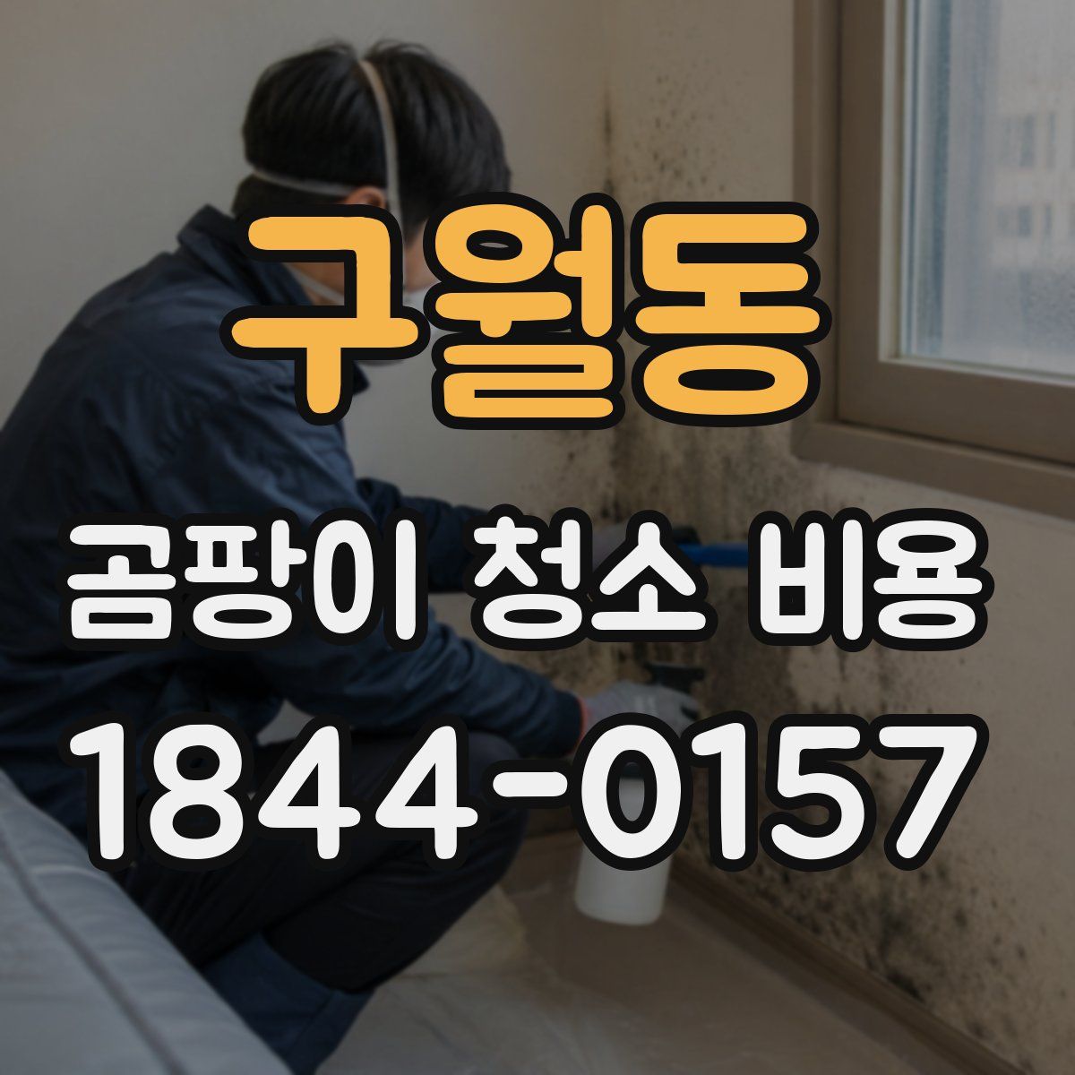 구월동 곰팡이 청소 비용