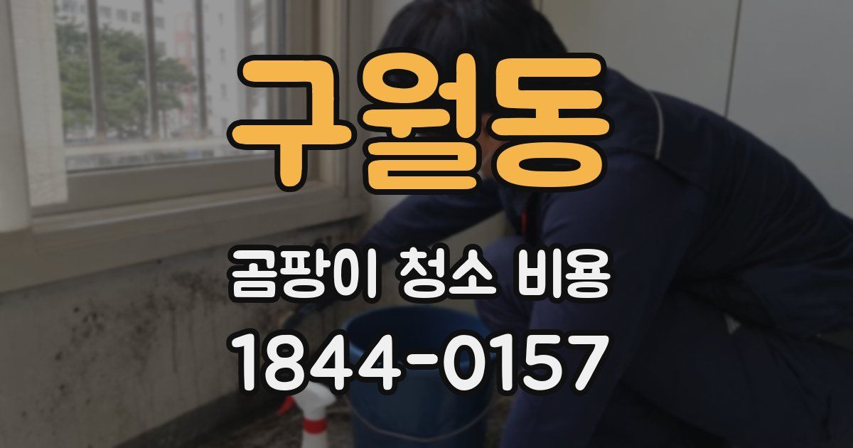 구월동 곰팡이 청소 비용