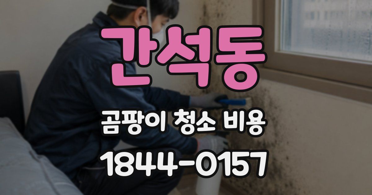 간석동 곰팡이 청소 비용