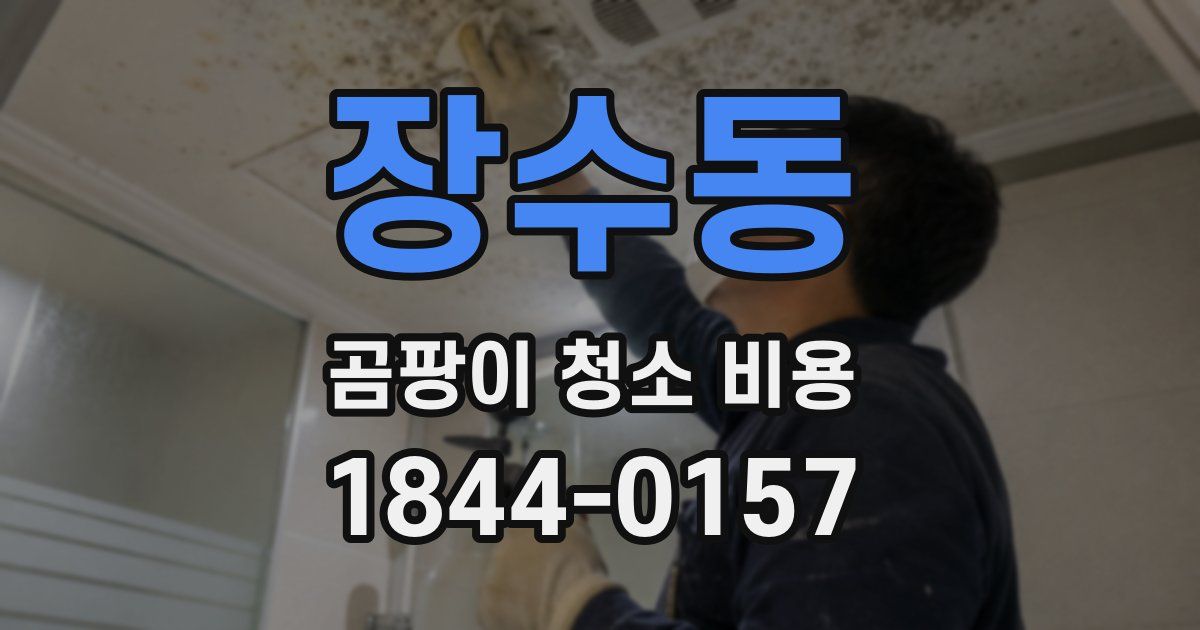장수동 곰팡이 청소 비용